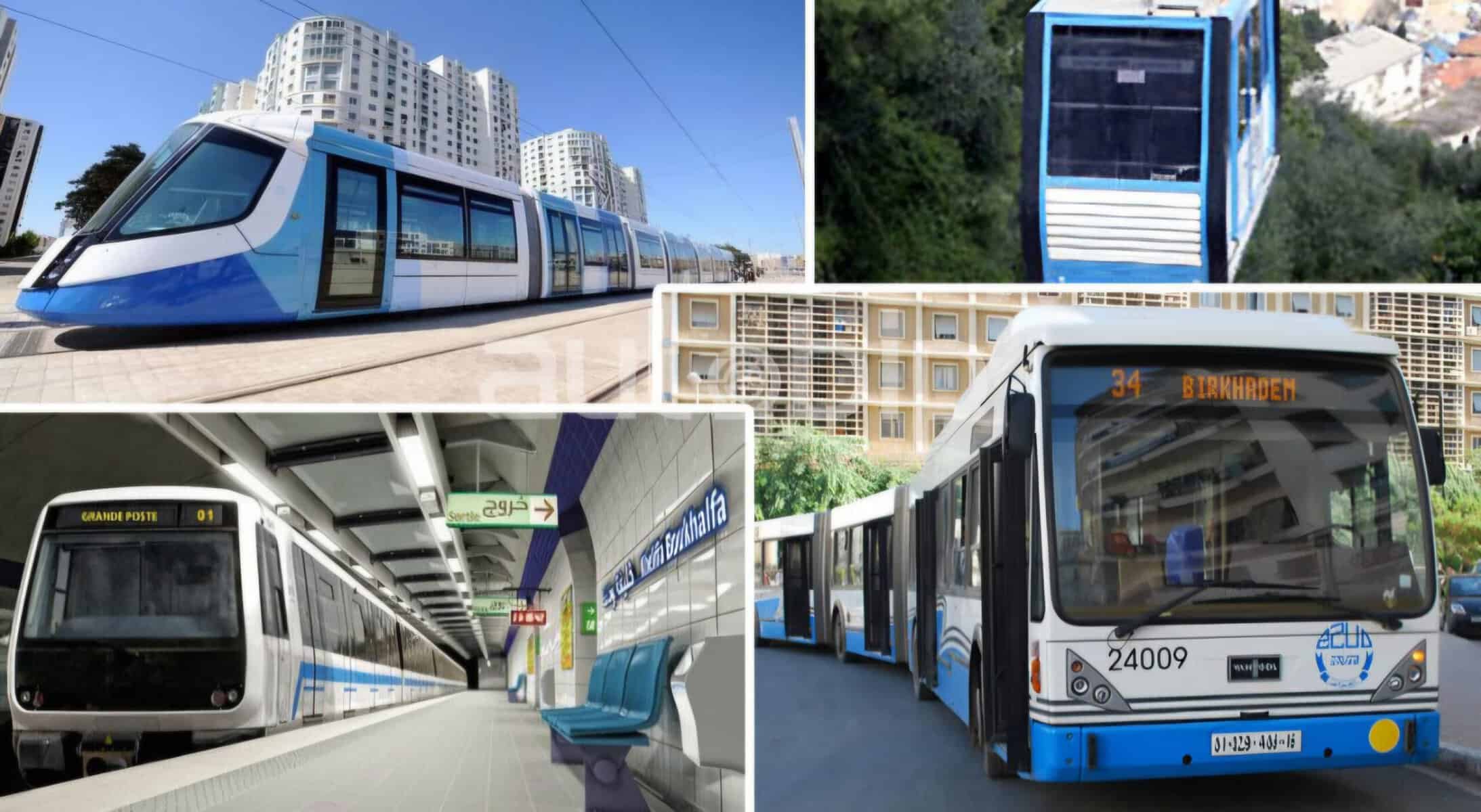 OQTF en Algérie : 7 ans d’intégration balayés en un instant Tramway et bus modernes en Algérie pour des trajets économiques.