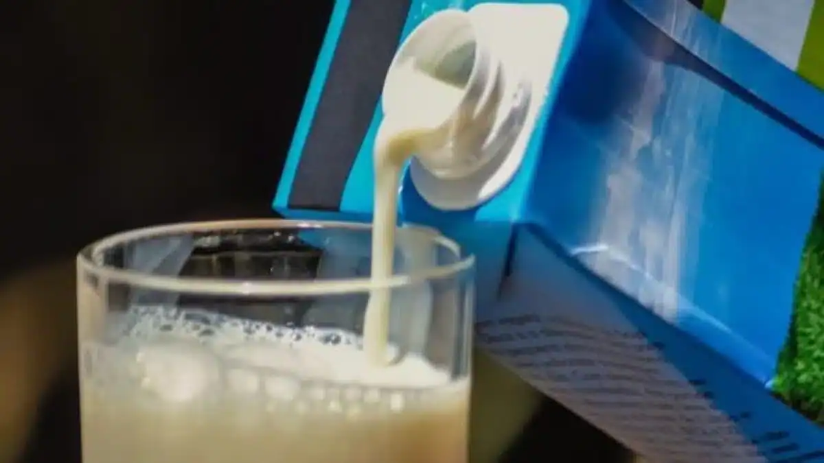 Hodna Lait la mégaferme laitière qui transforme l’Algérie Versement de lait frais dans un verre à partir d'une boîte de lait.