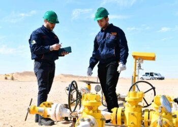 Sonatrach : découvertes et contrats incroyables en 2025
