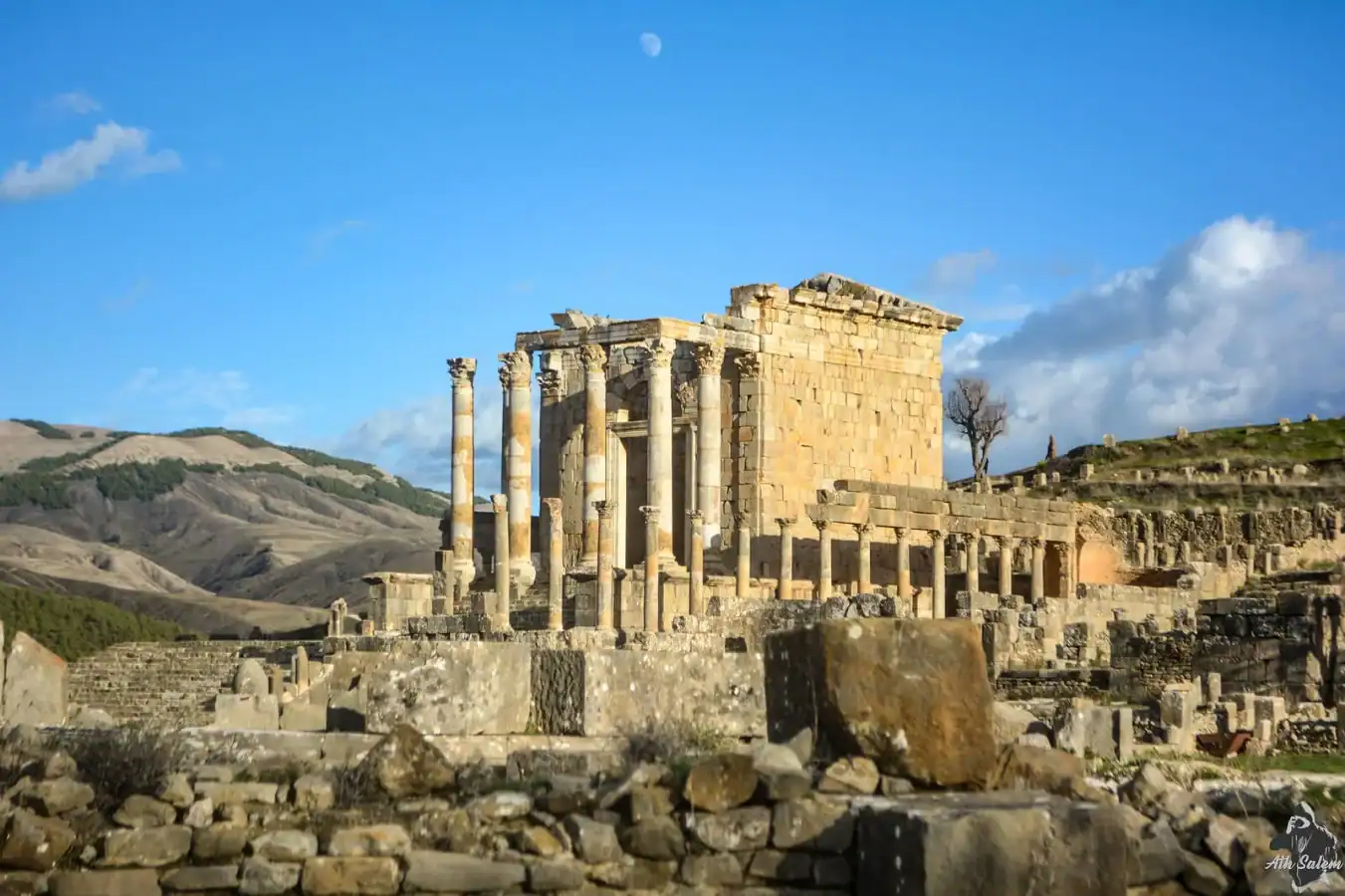 Ruines de Djemila, site historique en Algérie, avec colonnes et vestiges antiques.