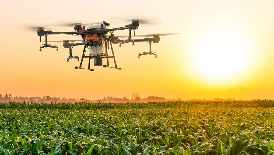 Drone agricole sur un champ de maïs au coucher du soleil.