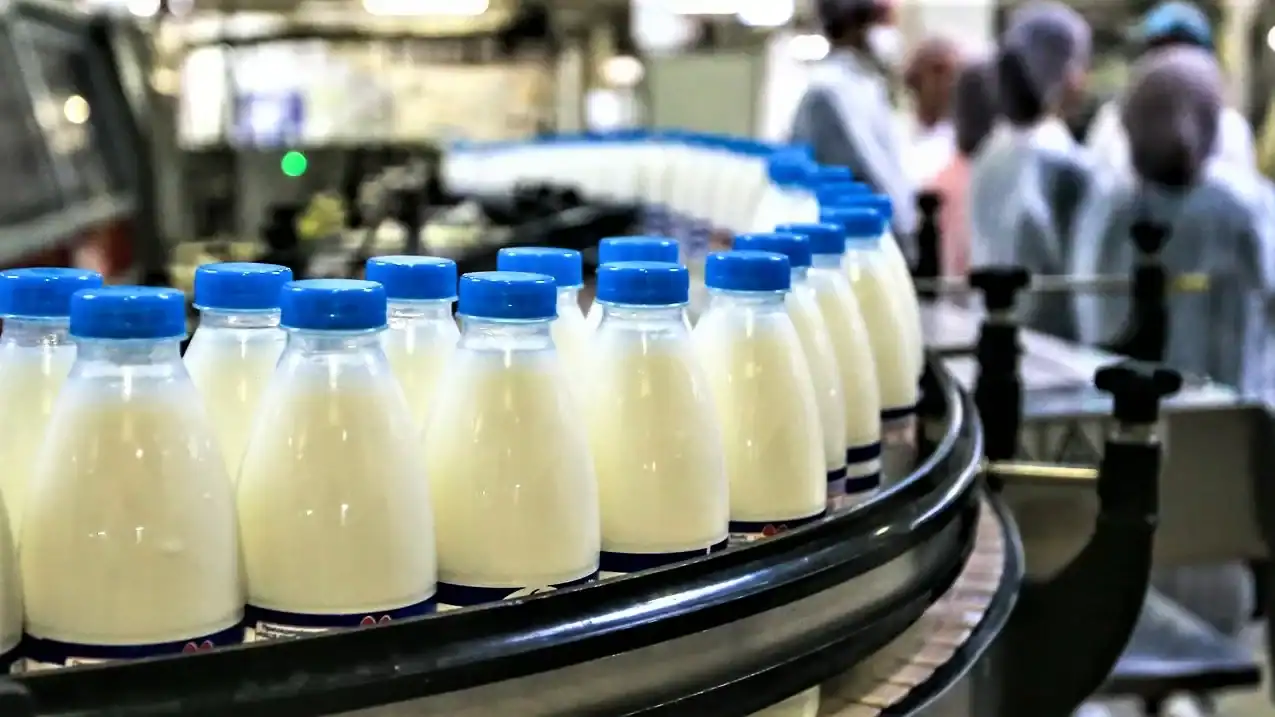 Découvrez le nouveau géant du lait en Algérie !