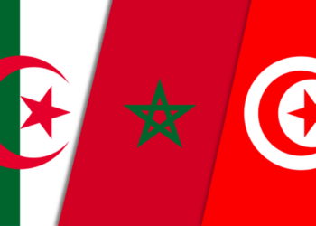TCF : pourquoi l'Algérie surpasse le Maroc et la Tunisie ?