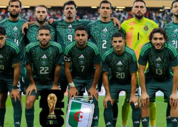 Fennecs