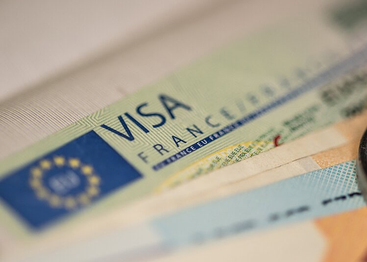 Visa Annulé : Astuces d'un Couple pour Battre le Consulat Visa Annulé : Astuces d'un Couple pour Battre le Consulat