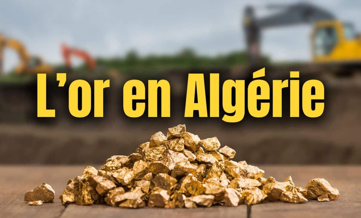 Découverte étonnante : 150 kg d’or et un drame en Algérie Tas d'or en Algérie avec machines de construction en arrière-plan.