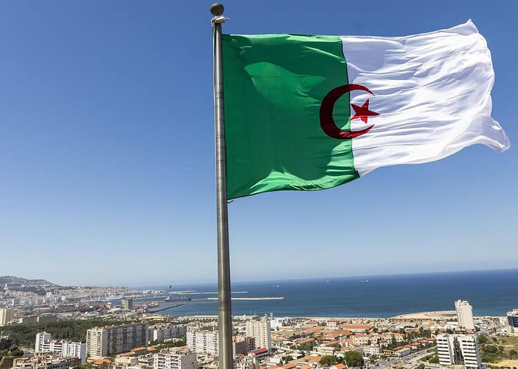 Alger : les mystères d'un projet immobilier fascinant Découvrez le concept innovant du développement en Algérie
