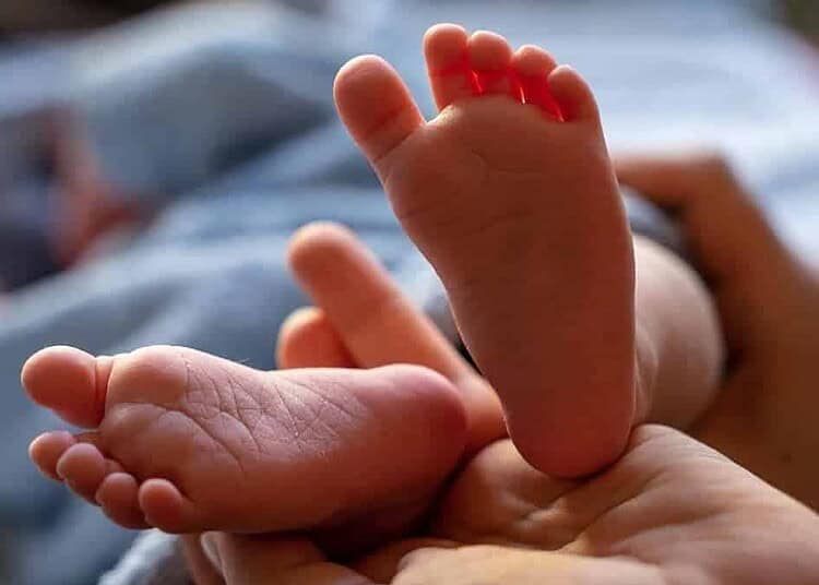 Bébé sauvé à l’aéroport de Bâle-Mulhouse après un vol venu d’Algérie Bébé sauvé à l’aéroport de Bâle-Mulhouse après un vol venu d’Algérie