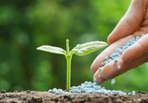 L'Espagne s'approvisionne de plus en plus en fertilisants algériens