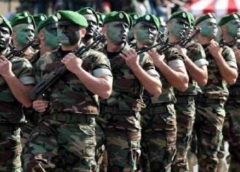 Puissance militaire : l'Algérie en tête en Afrique, le Maroc suit