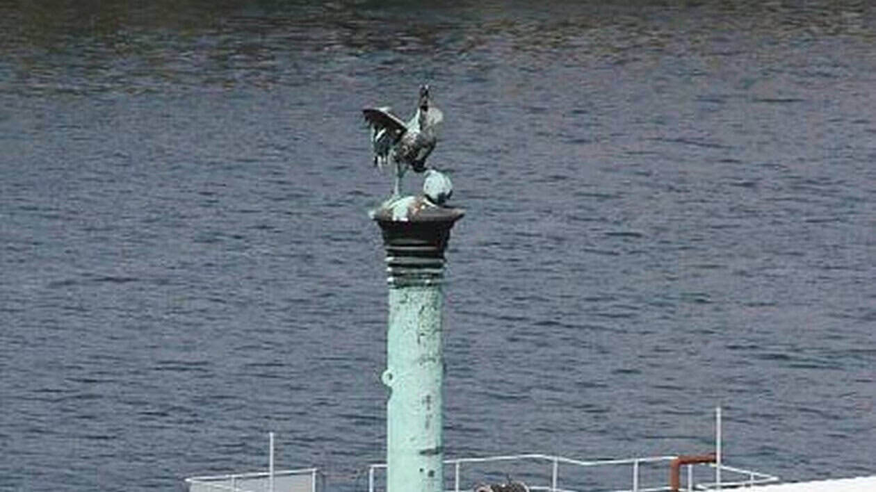 Statue de pélican en métal sur un poteau au bord de l'eau.