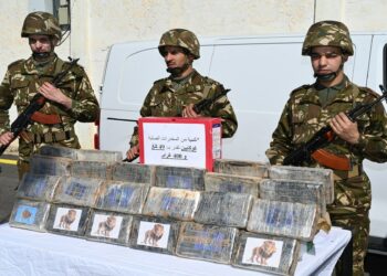 Découverte choc : L'armée algérienne saisit une tonne de drogue