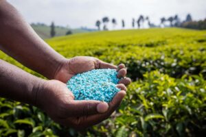 L'Espagne s'approvisionne de plus en plus en fertilisants algériens