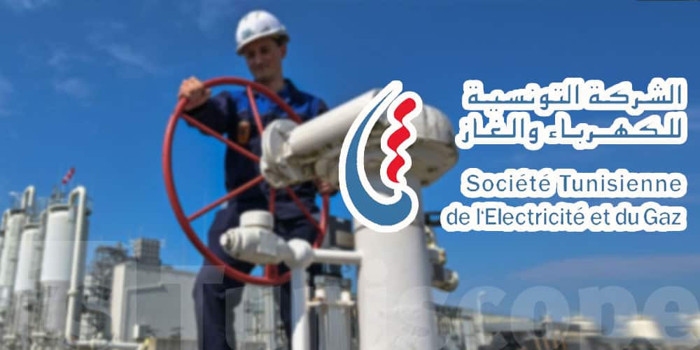 Crise énergétique en Tunisie : l'Algérie à la rescousse ? Crise énergétique en Tunisie : l'Algérie à la rescousse ?
