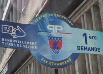 Le Conseil d'État met la pression sur les titres de séjour