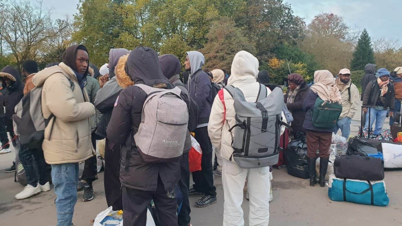 France : reprise des expulsions d’Algériens, Laurent Nuñez confirme France : reprise des expulsions d’Algériens