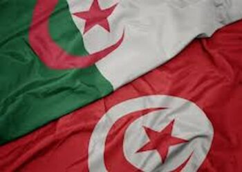 Algériens en Tunisie : ils dépassent désormais les Français en nombre