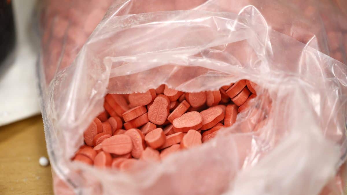 Comprimés d'ecstasy saisis à Béjaïa Comprimés d'ecstasy rouges dans un sac en plastique transparent.